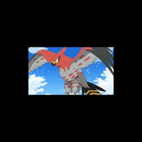 Ash's talonflame