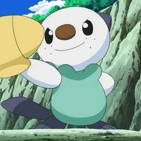 Ash's Oshawott