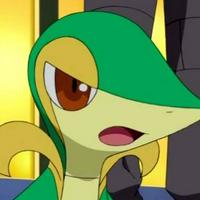 Ash's Snivy