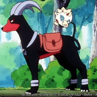 Doomy(A Mareep faemer's houndoom)