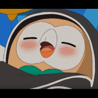 Ash's rowlet