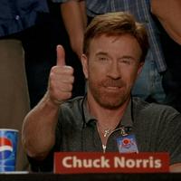 Chuck Norris (Judge)