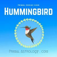 Hummingbird (Primal Astrology)