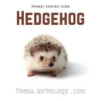 Hedgehog (Primal Astrology)