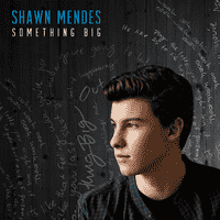 Shawn Mendes  - Something Big