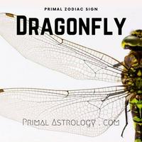 Dragonfly (Primal Astrology)