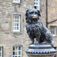 Greyfriars Bobby Personality Type, MBTI - Which Personality?