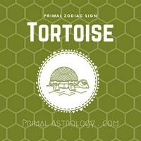 Tortoise (Primal Astrology)