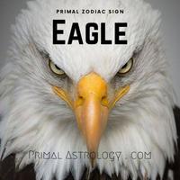 Eagle (Primal Astrology)