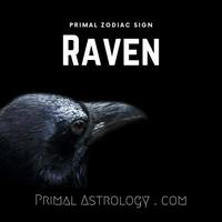 Raven (Primal Astrology)