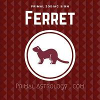 Ferret (Primal Astrology)