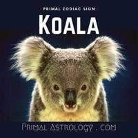 Koala (Primal Astrology)