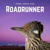 Roadrunner (Primal Astrology)