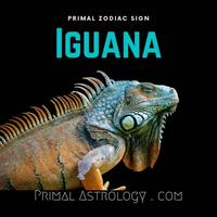 Iguana (Primal Astrology)