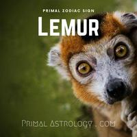 Lemur (Primal Astrology)