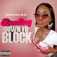 Beating Down Your Block - Monaleo