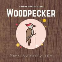 Woodpecker (Primal Astrology)