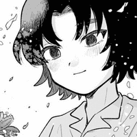 Tsukumo Komachi