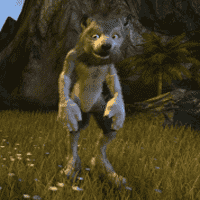 Wolf