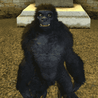 Gorilla