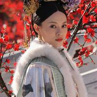 Zhen Huan(甄嬛)