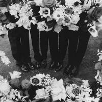 The 1975 - I’m In Love With You