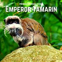 Emperor Tamarin (Primal Astrology)