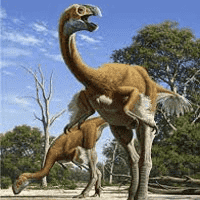 Gigantoraptor