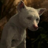 Bhoot