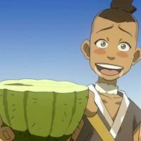 Sokka on cactus juice