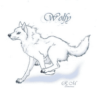 Wolfy NSU
