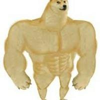 Swole/Buff Doge