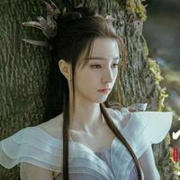 Dan Yin