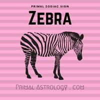 Zebra (Primal Astrology)