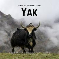 Yak (Primal Astrology)