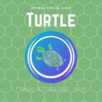 Turtle (Primal Astrology)