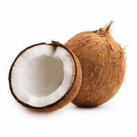 Coconut