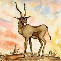 Doe
