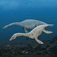 Plesiosaur