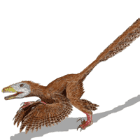 Deinonychus