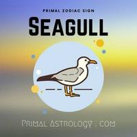 Seagull (Primal Astrology)