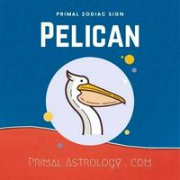 Pelican (Primal Astrology)