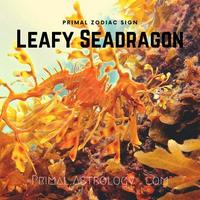 Leafy Seadragon (Primal Astrology)