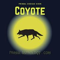 Coyote (Primal Astrology)