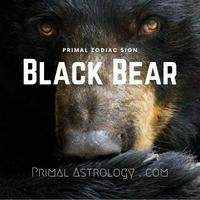 Black Bear (Primal Astrology)