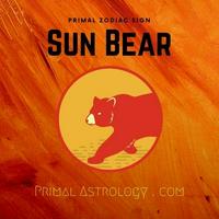 Sun Bear (Primal Astrology)