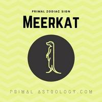 Meerkat (Primal Astrology)