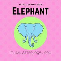 Elephant (Primal Astrology)