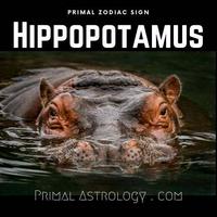 Hippopotamus (Primal Astrology)