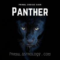 Panther (Primal Astrology)